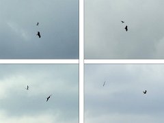 2018-06-16-Vierzon (110)